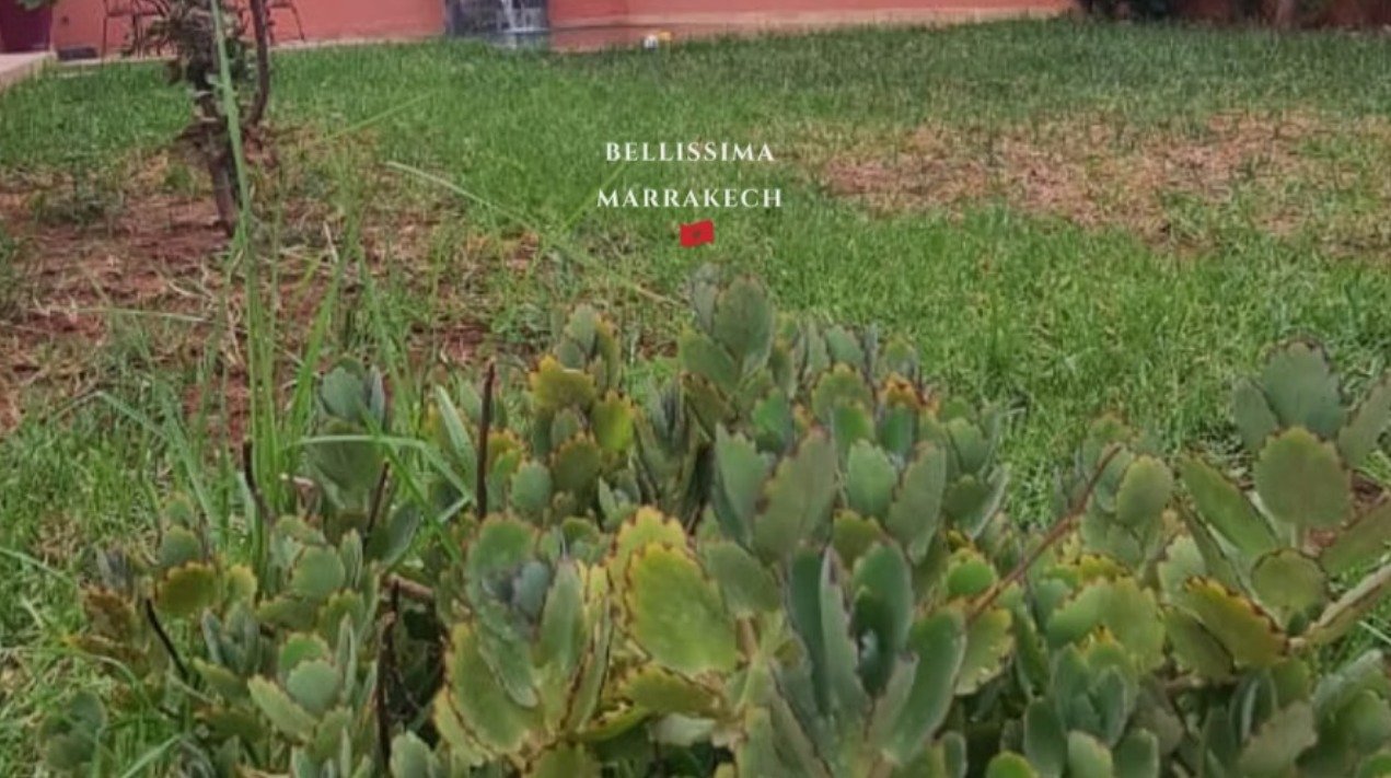 Terrain a vendre a marrakech gueliz