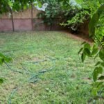 WhatsApp Image 2025-11-03 at 05.15.31 (2)