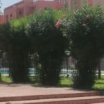 WhatsApp Image 2025-11-03 at 05.22.23 (1)