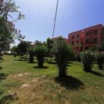 WhatsApp Image 2025-11-03 at 05.22.23 (3)