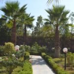 WhatsApp Image 2025-11-09 at 22.49.00 (1)