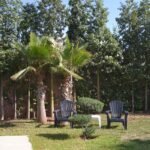 WhatsApp Image 2025-11-09 at 22.49.00 (5)