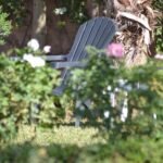 WhatsApp Image 2025-11-09 at 22.49.02 (1)