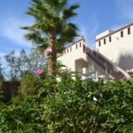 WhatsApp Image 2025-11-09 at 22.49.02