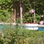 WhatsApp Image 2025-11-09 at 22.49.02 (4)