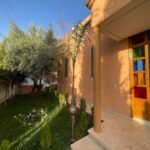 WhatsApp Image 2025-11-10 at 18.41.56 (1)