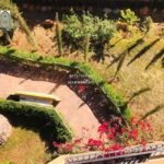 WhatsApp Image 2025-11-22 at 19.34.49