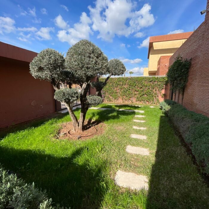 WhatsApp Image 2026-02-23 at 09.27.53 (4)