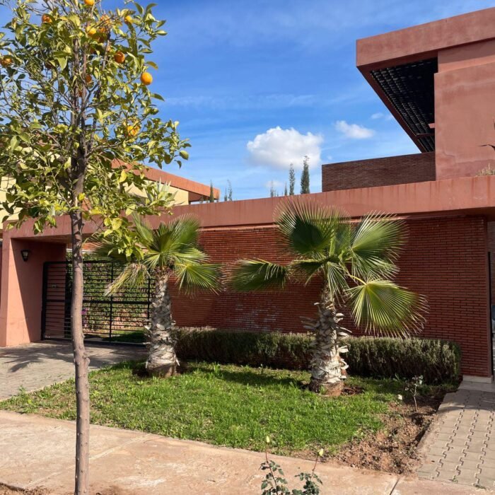 WhatsApp Image 2026-02-23 at 09.27.54