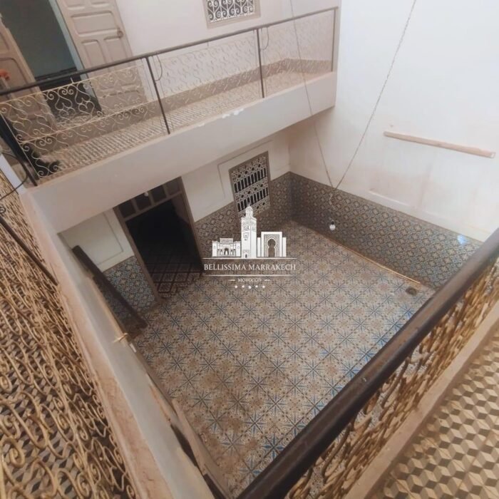 WhatsApp Image 2026-02-24 at 16.42.13