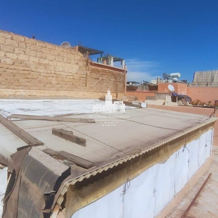 WhatsApp Image 2026-02-24 at 16.42.14 (1)