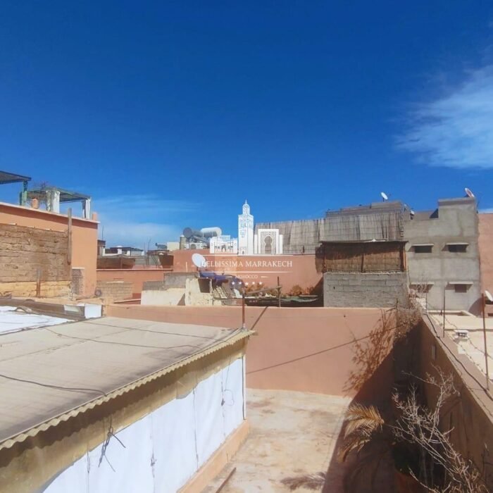 WhatsApp Image 2026-02-24 at 16.42.14 (3)