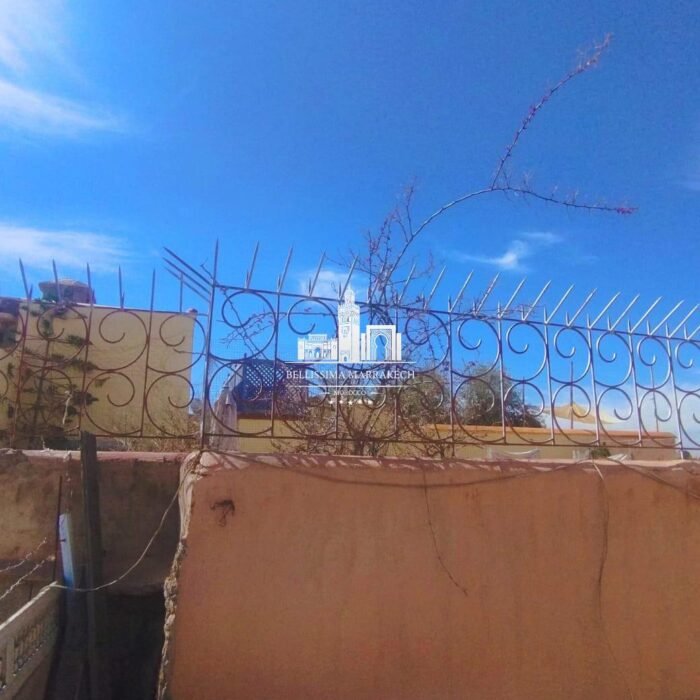 WhatsApp Image 2026-02-24 at 16.42.15 (1)