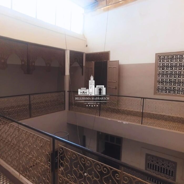 WhatsApp Image 2026-02-24 at 16.42.15 (3)