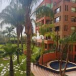 WhatsApp Image 2026-03-02 at 18.20.01