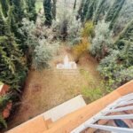 WhatsApp Image 2026-03-06 at 12.04.04