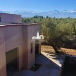 WhatsApp Image 2026-03-08 at 21.09.18