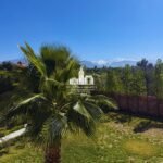 WhatsApp Image 2026-03-08 at 21.09.20 (3)