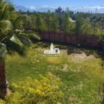 WhatsApp Image 2026-03-08 at 21.09.21