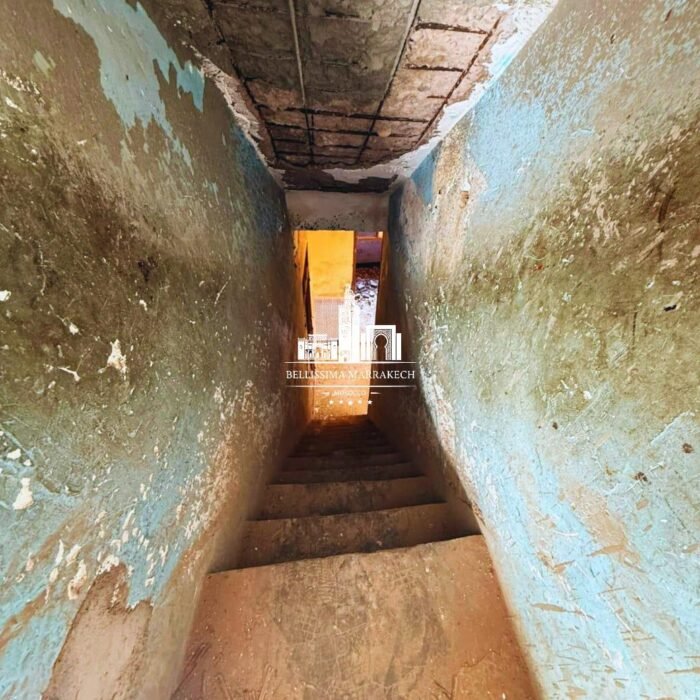 WhatsApp Image 2026-03-08 at 22.45.12 (2)