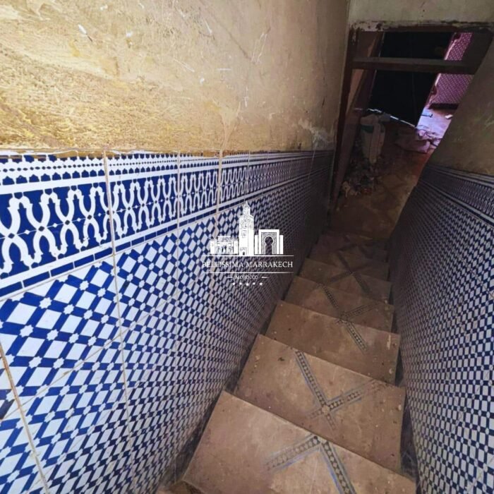 WhatsApp Image 2026-03-08 at 22.45.12 (3)