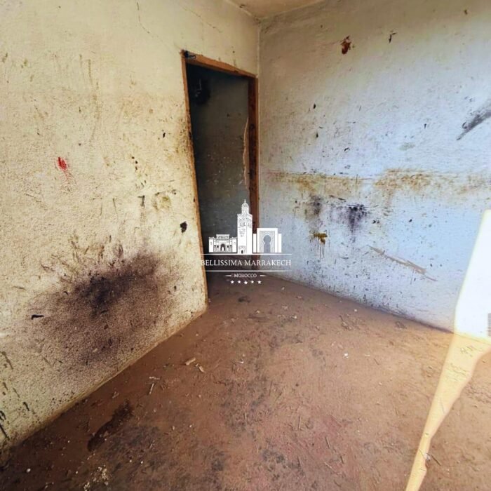 WhatsApp Image 2026-03-08 at 22.45.13 (3)