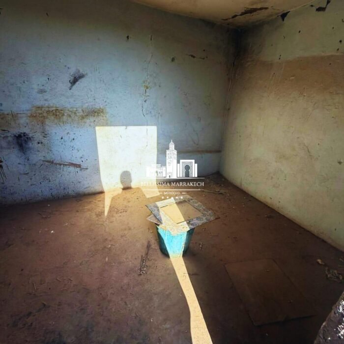 WhatsApp Image 2026-03-08 at 22.45.13 (4)