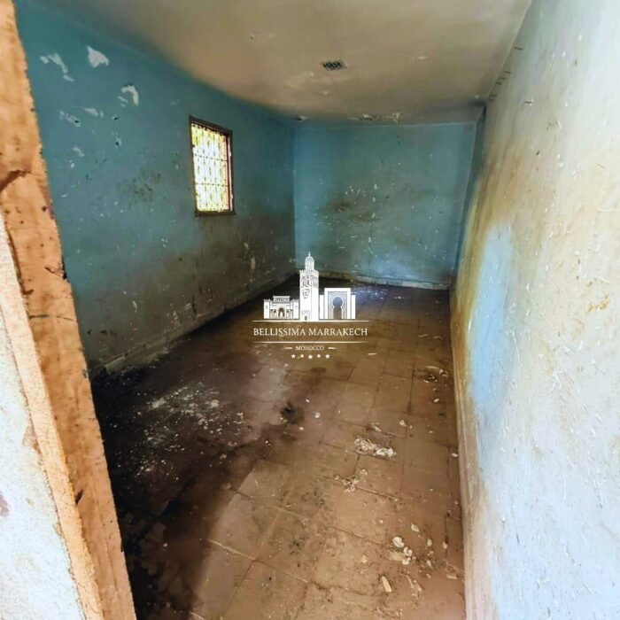 WhatsApp Image 2026-03-08 at 22.45.14 (2)