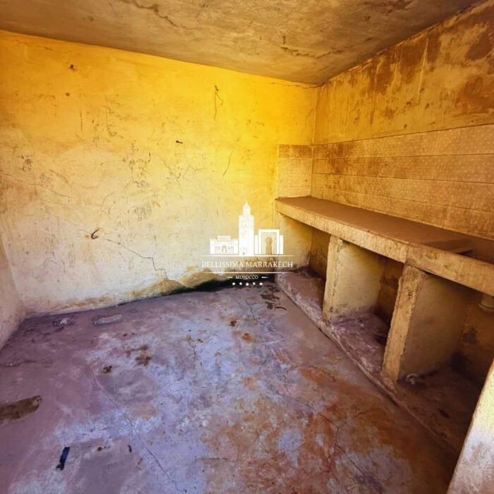 WhatsApp Image 2026-03-08 at 22.45.14 (3)