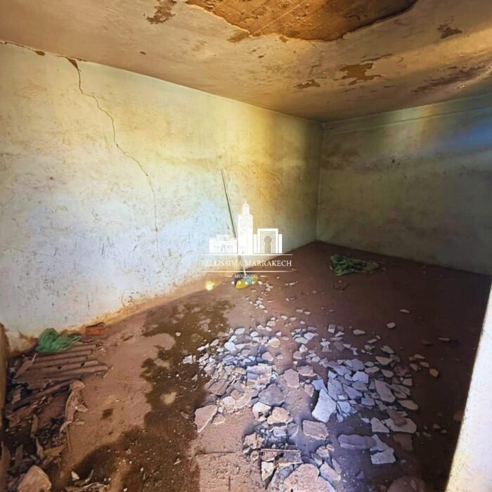 WhatsApp Image 2026-03-08 at 22.45.15