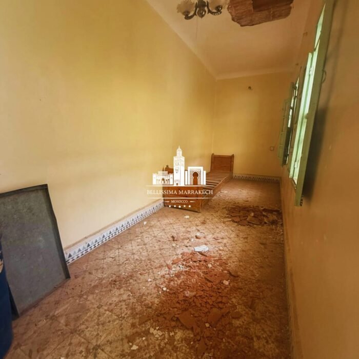 WhatsApp Image 2026-03-11 at 21.35.18