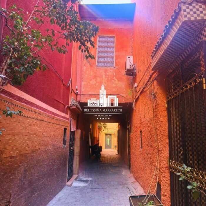 WhatsApp Image 2026-03-11 at 21.36.49