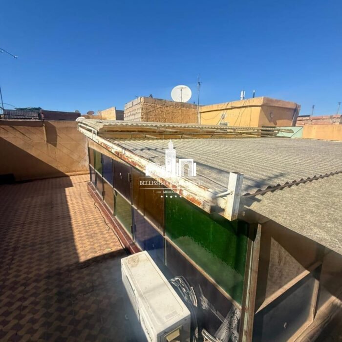 WhatsApp Image 2026-03-11 at 21.36.54 (1)