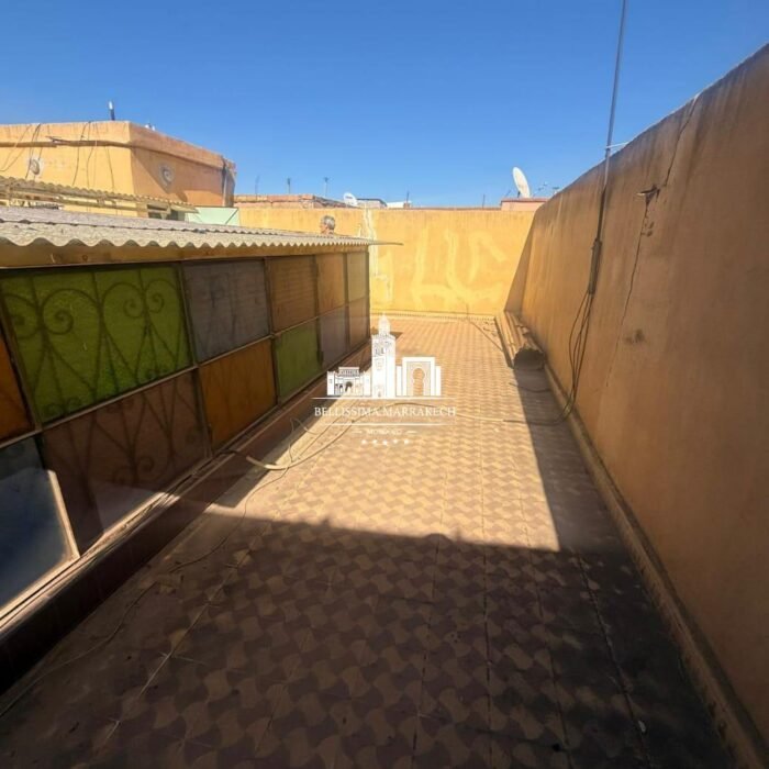 WhatsApp Image 2026-03-11 at 21.36.55 (1)