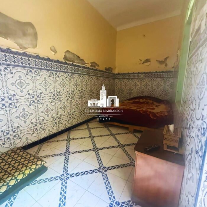 WhatsApp Image 2026-03-11 at 21.36.56