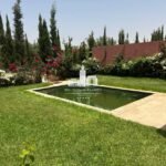 WhatsApp Image 2026-03-22 at 15.37.18