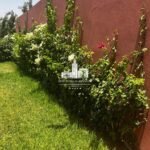 WhatsApp Image 2026-03-22 at 15.38.21 (2)