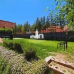 WhatsApp Image 2026-03-22 at 15.41.14