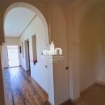 WhatsApp Image 2026-03-22 at 15.41.25