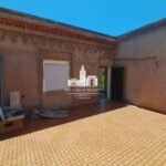 WhatsApp Image 2026-03-22 at 15.41.56