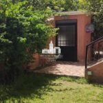 WhatsApp Image 2026-03-22 at 16.28.29