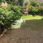 WhatsApp Image 2026-03-22 at 16.29.24 (1)