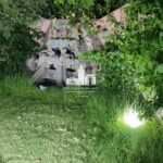 WhatsApp Image 2026-03-22 at 16.29.24