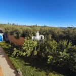 WhatsApp Image 2026-03-27 at 11.15.48