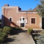 WhatsApp Image 2026-03-30 at 13.03.52 (3)