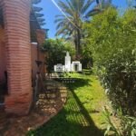 WhatsApp Image 2026-03-31 at 10.31.24 (1)