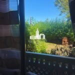 WhatsApp Image 2026-03-31 at 10.31.29