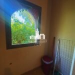 WhatsApp Image 2026-03-31 at 10.31.34 (3)