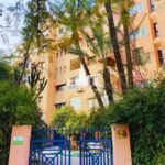 WhatsApp Image 2026-04-02 at 15.21.13 (2)